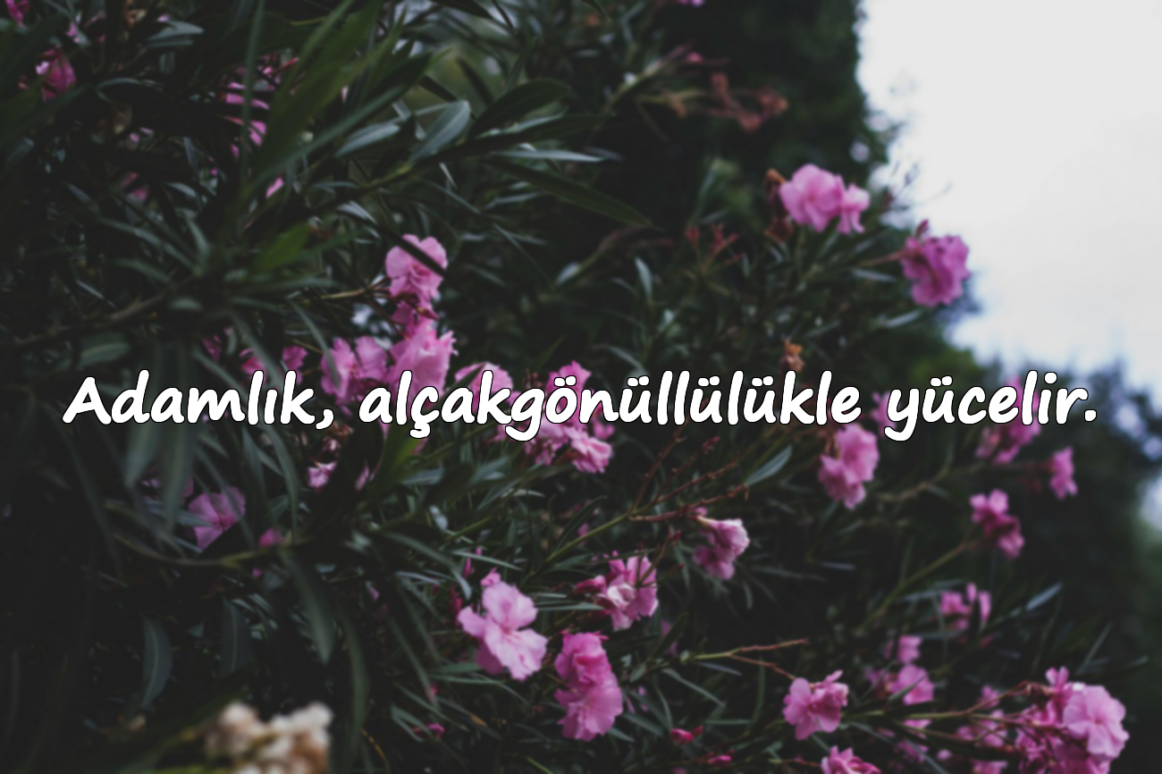 Adamlık, alçakgönüllülükle yücelir.