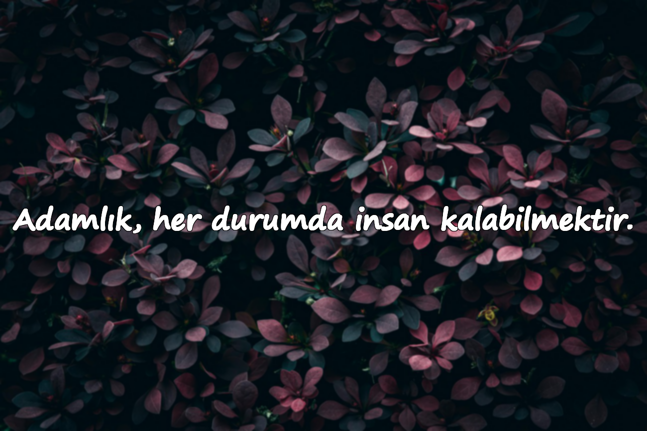 Adamlık, her durumda insan kalabilmektir.