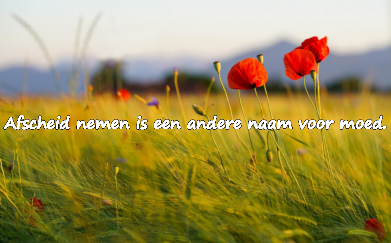 Afscheid Quotes