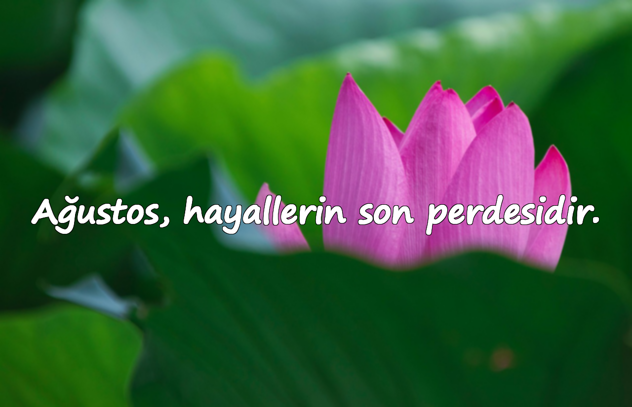 Ağustos, hayallerin son perdesidir.