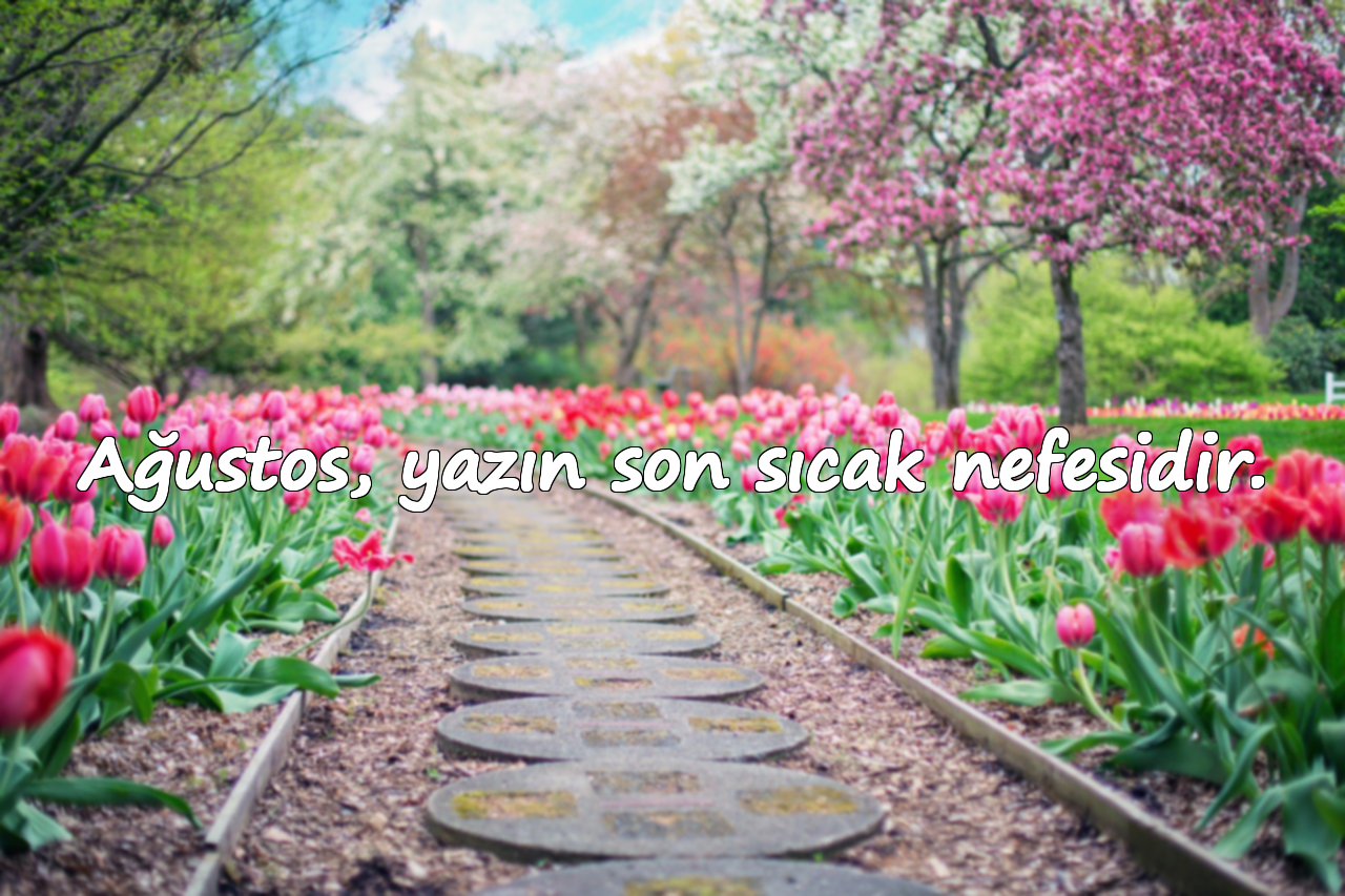 Ağustos, yazın son sıcak nefesidir.