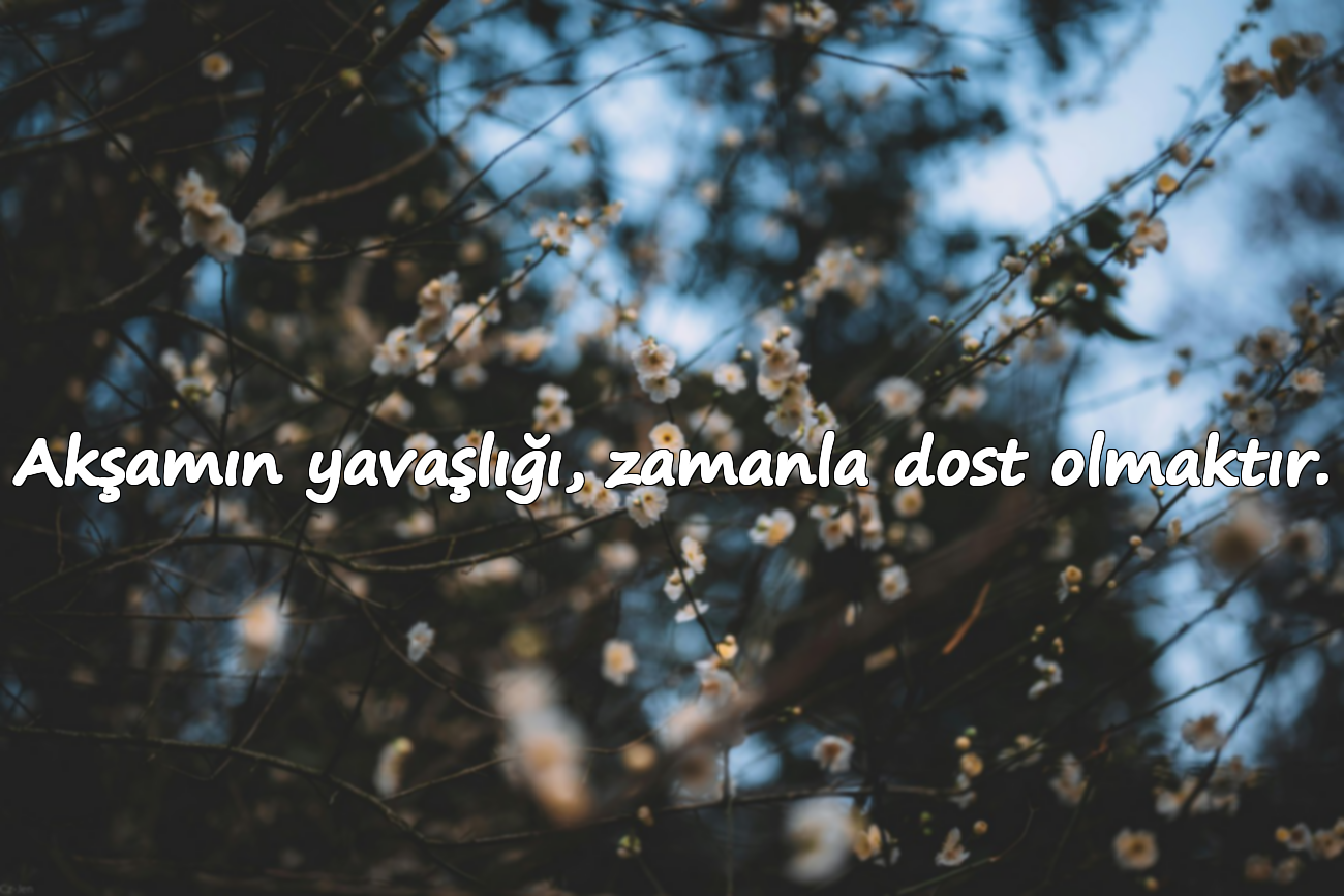 Akşamın yavaşlığı, zamanla dost olmaktır.