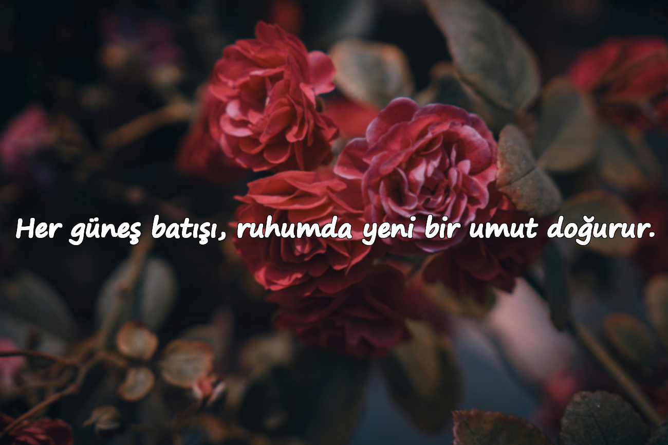 Her güneş batışı, ruhumda yeni bir umut doğurur.