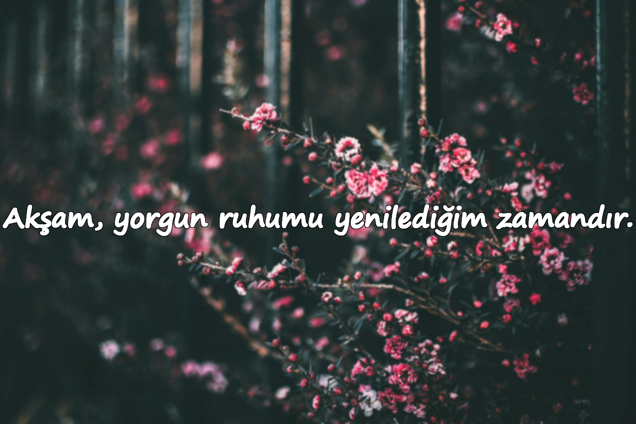 Akşam, yorgun ruhumu yenilediğim zamandır.