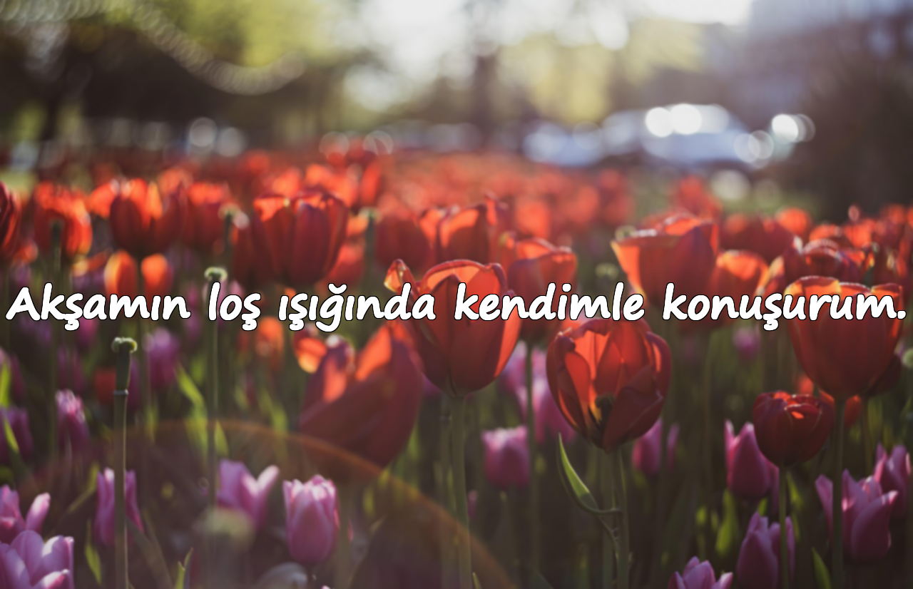 Akşamın loş ışığında kendimle konuşurum.