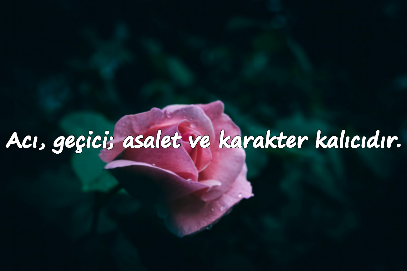 Acı, geçici; asalet ve karakter kalıcıdır.