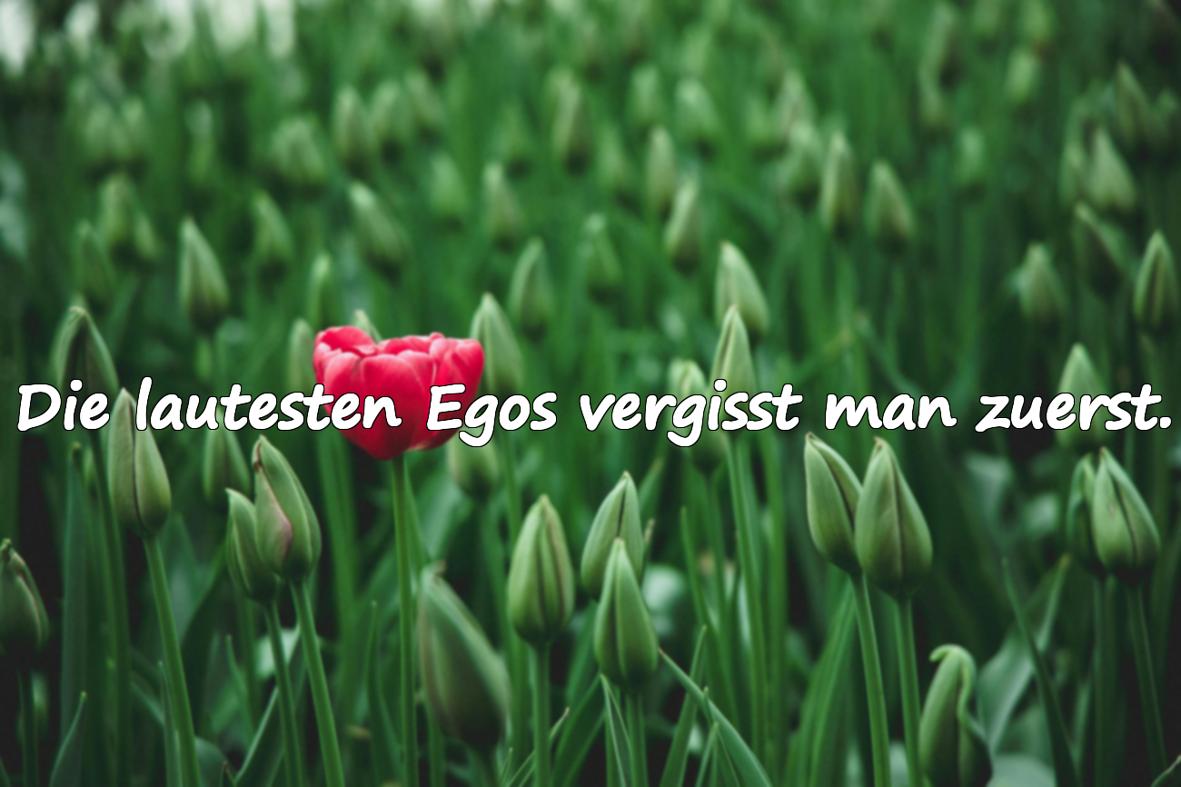 Andeutende Zitate über die vergängliche Welt