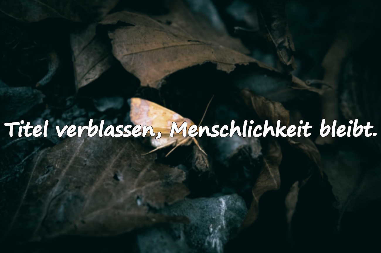Andeutende Zitate über die vergängliche Welt