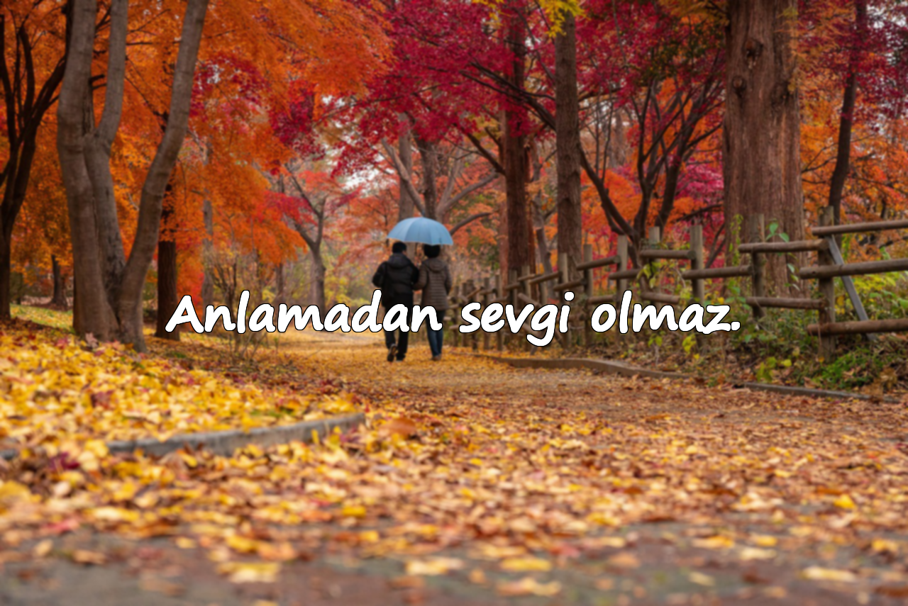 Anlamadan sevgi olmaz.