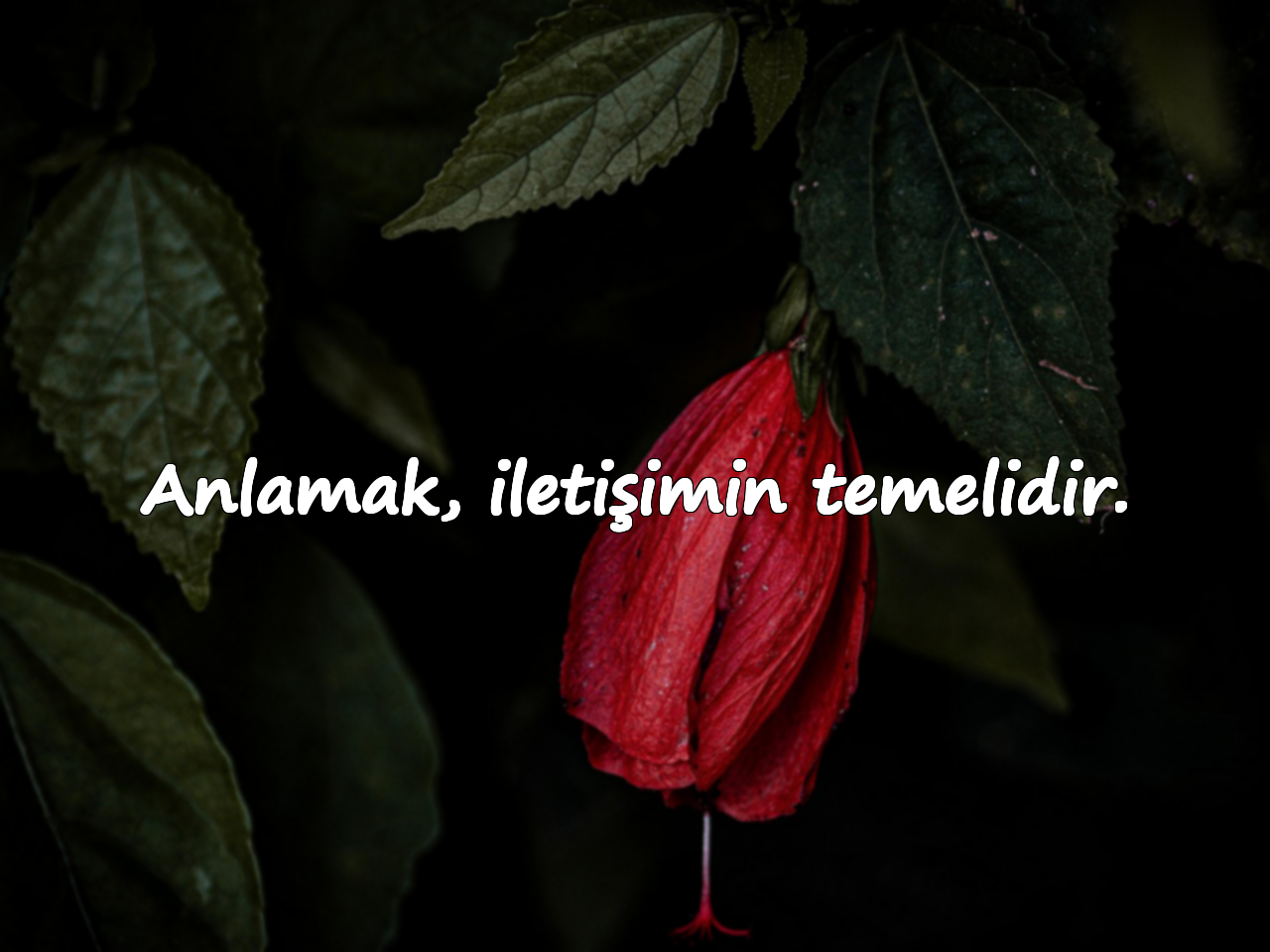 Anlamak, iletişimin temelidir.