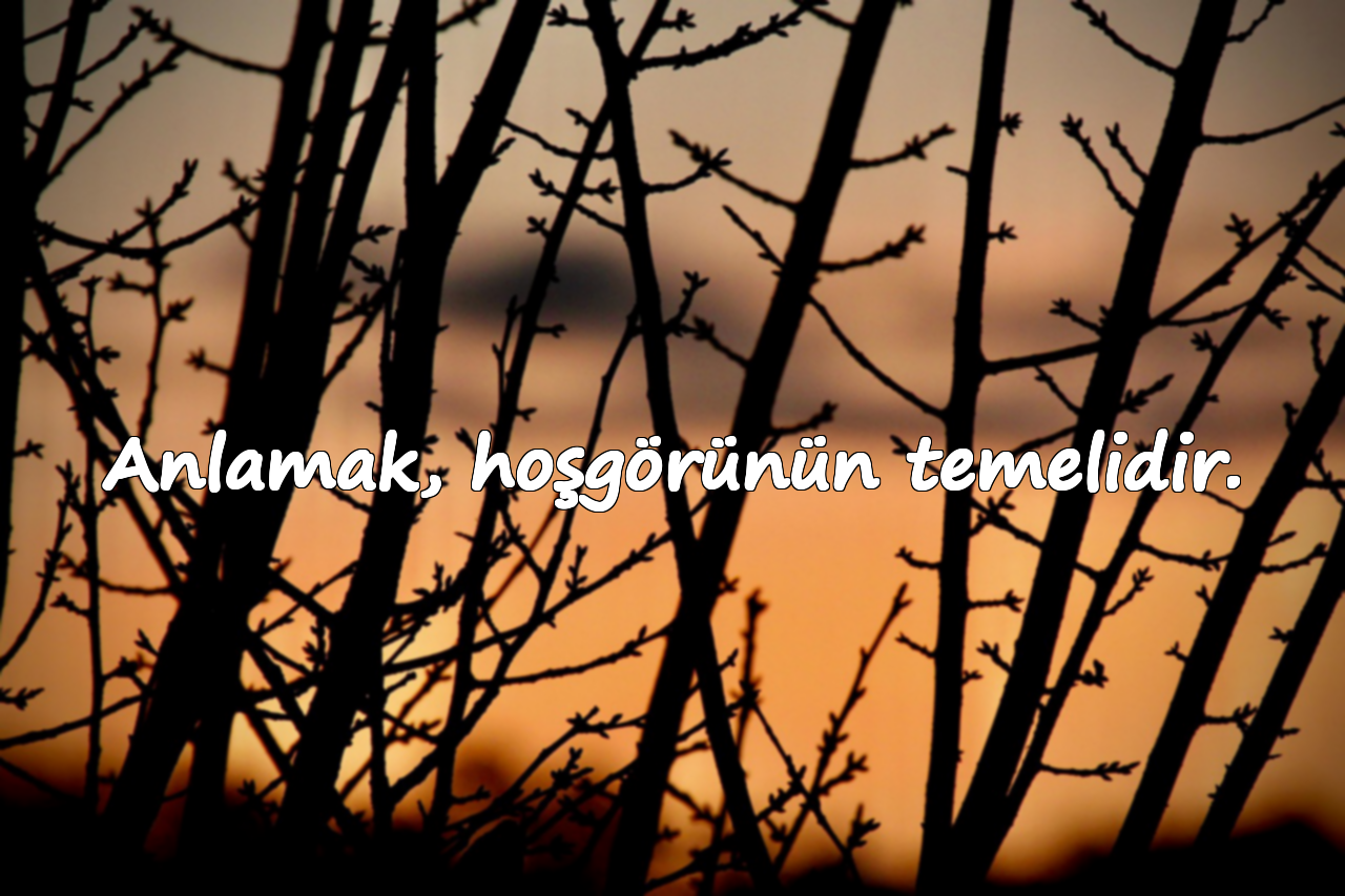 Anlamak, hoşgörünün temelidir.