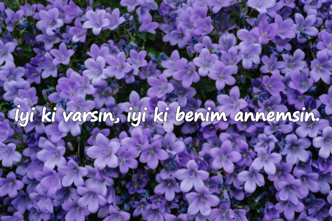 İyi ki varsın, iyi ki benim annemsin.