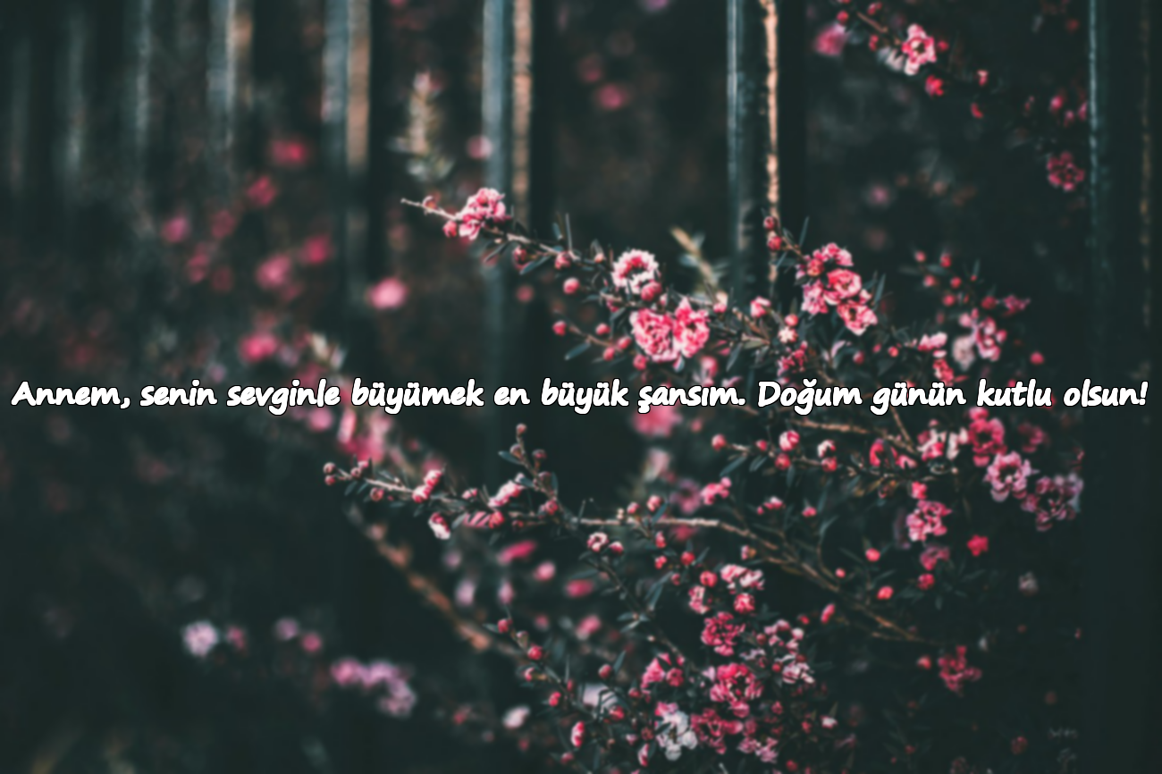 Annem, senin sevginle büyümek en büyük şansım. Doğum günün kutlu olsun!