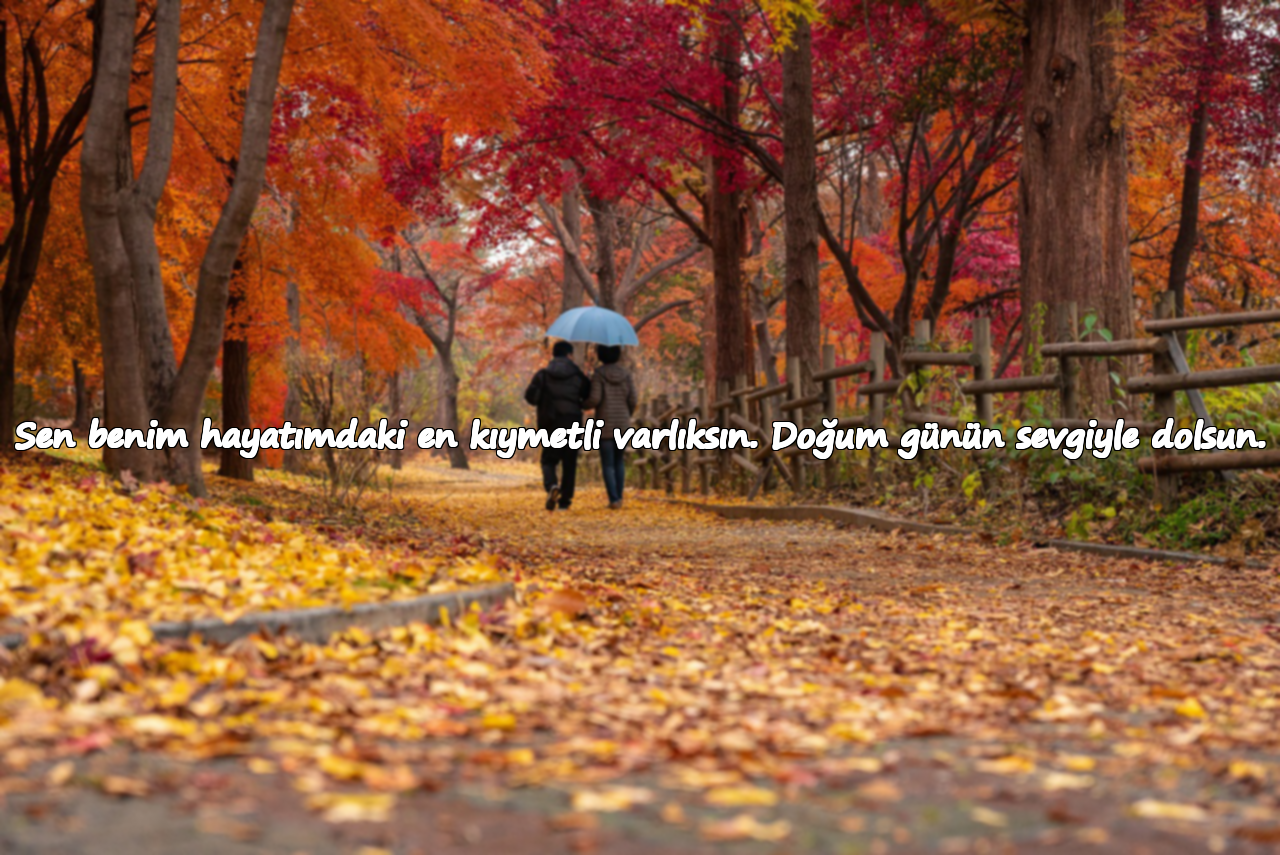 Sen benim hayatımdaki en kıymetli varlıksın. Doğum günün sevgiyle dolsun.