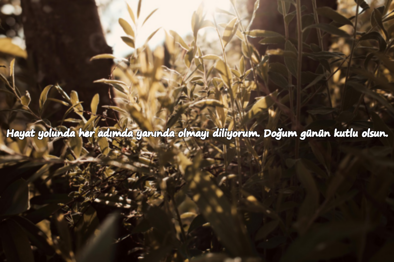 Hayat yolunda her adımda yanında olmayı diliyorum. Doğum günün kutlu olsun.