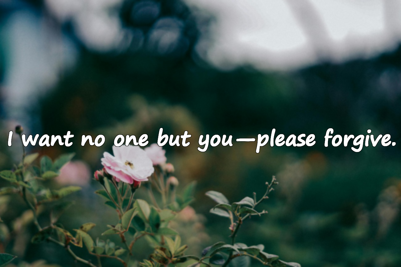 Apology Words for My Love