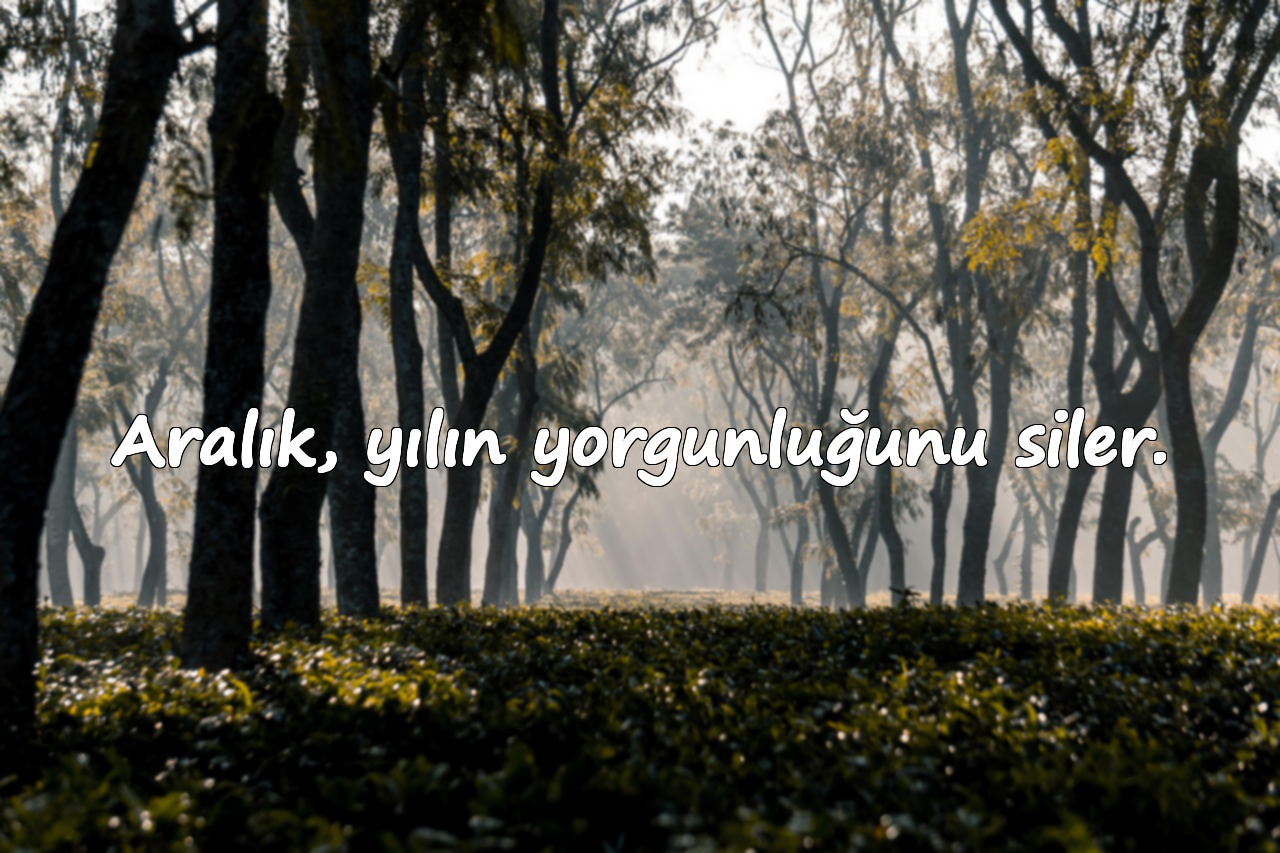Aralık, yılın yorgunluğunu siler.