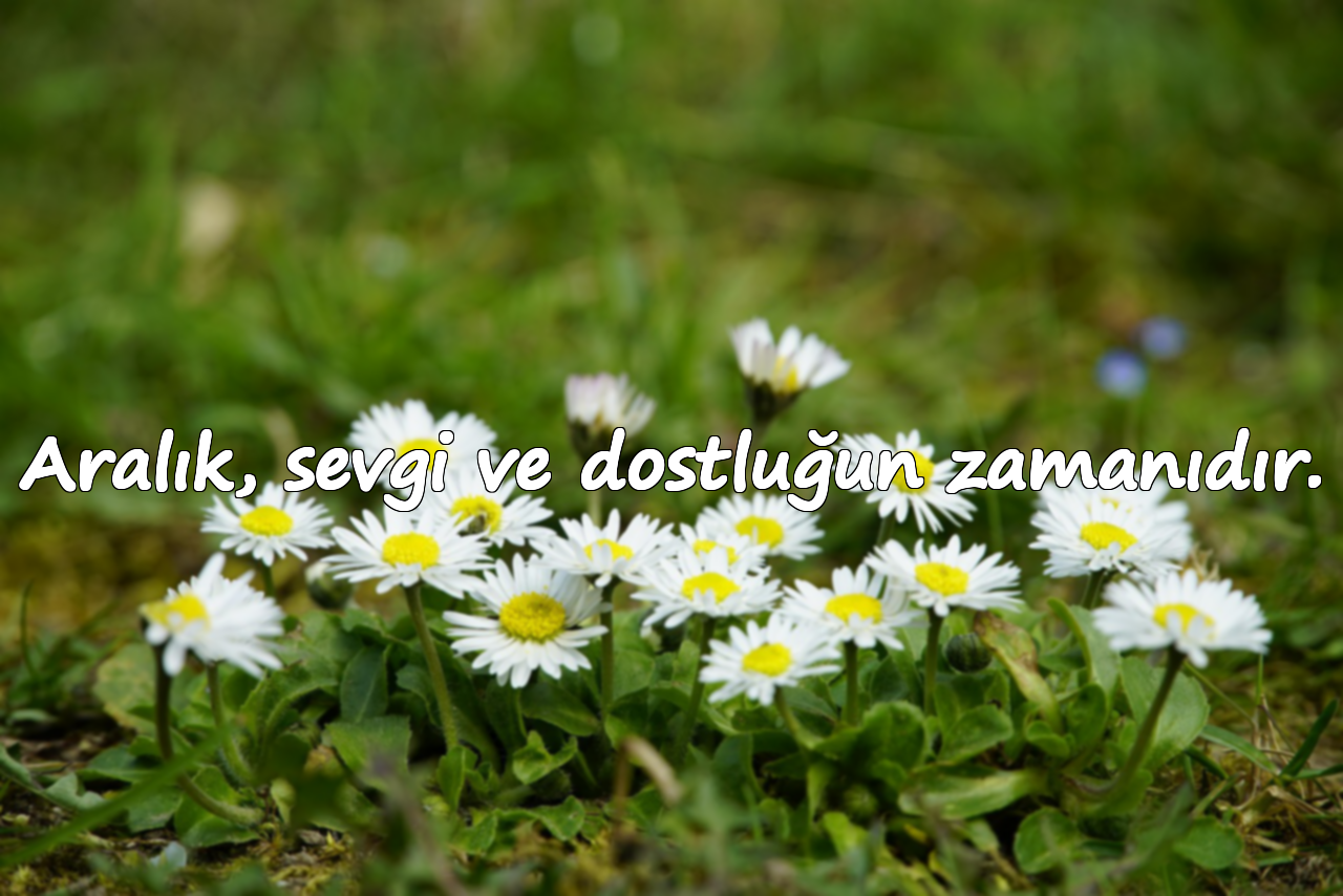 Aralık, sevgi ve dostluğun zamanıdır.