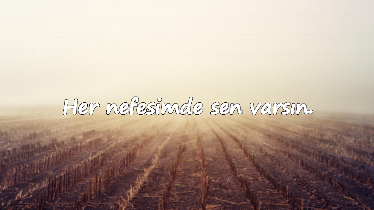 Her nefesimde sen varsın.