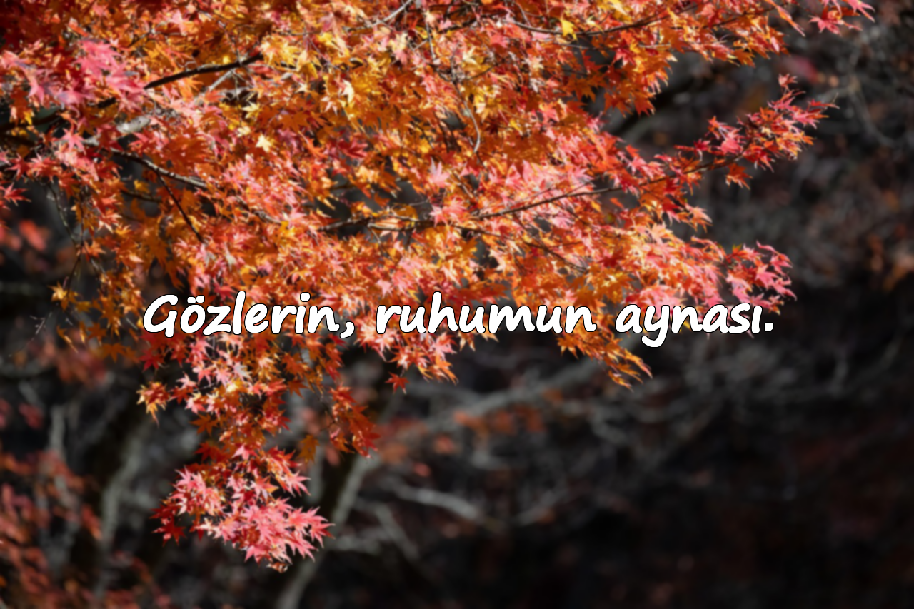 Gözlerin, ruhumun aynası.