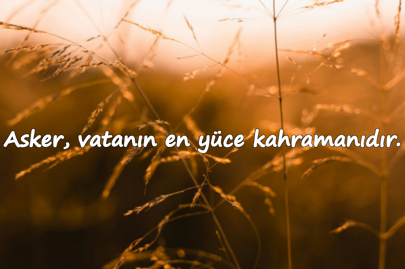 Asker, vatanın en yüce kahramanıdır.