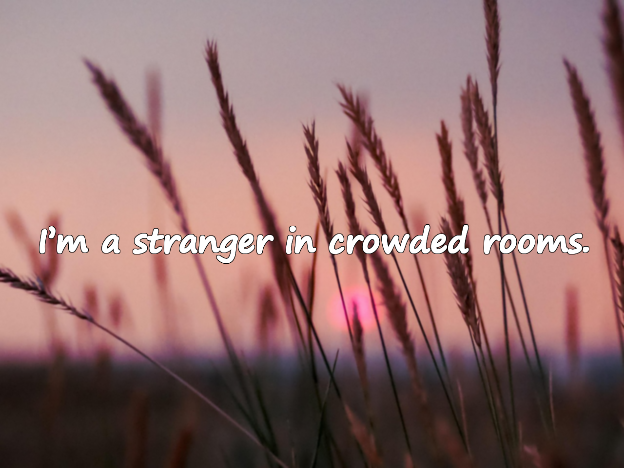 Asocial Quotes