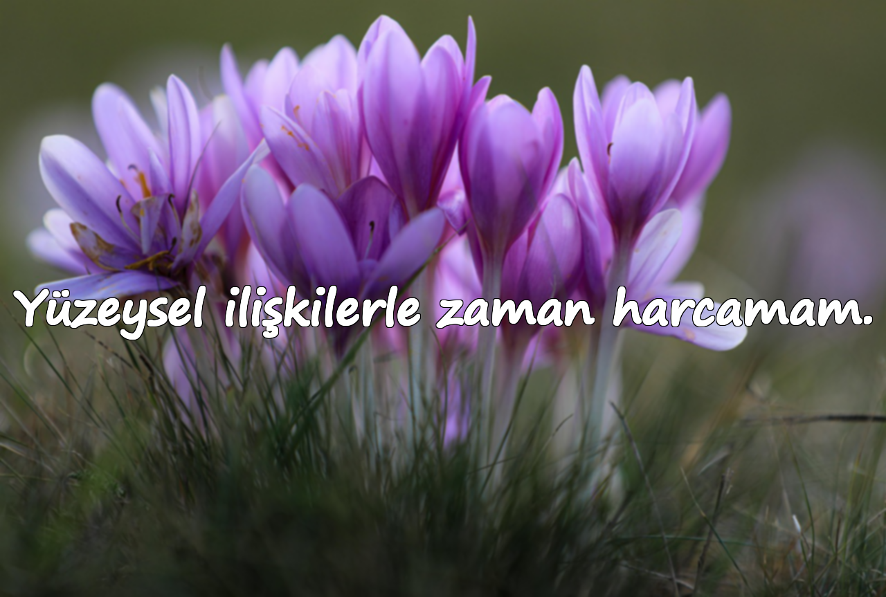 Yüzeysel ilişkilerle zaman harcamam.