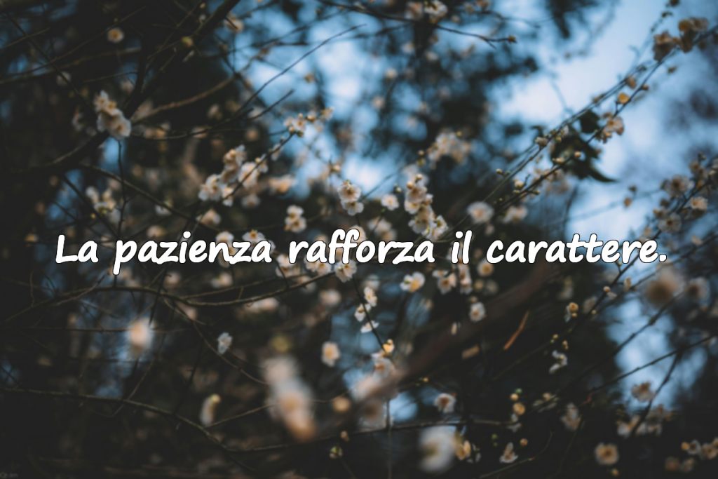 Aspettare e Aspettative – Citazioni
