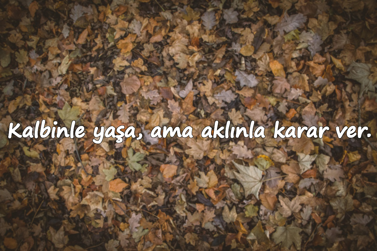 Kalbinle yaşa, ama aklınla karar ver.
