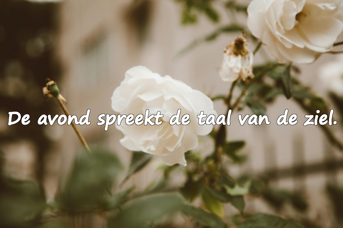 Avondswoorden