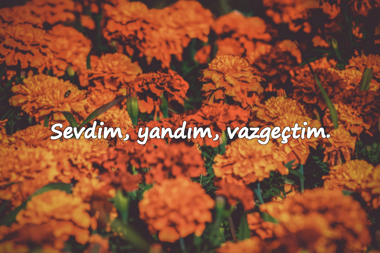 Sevdim, yandım, vazgeçtim.