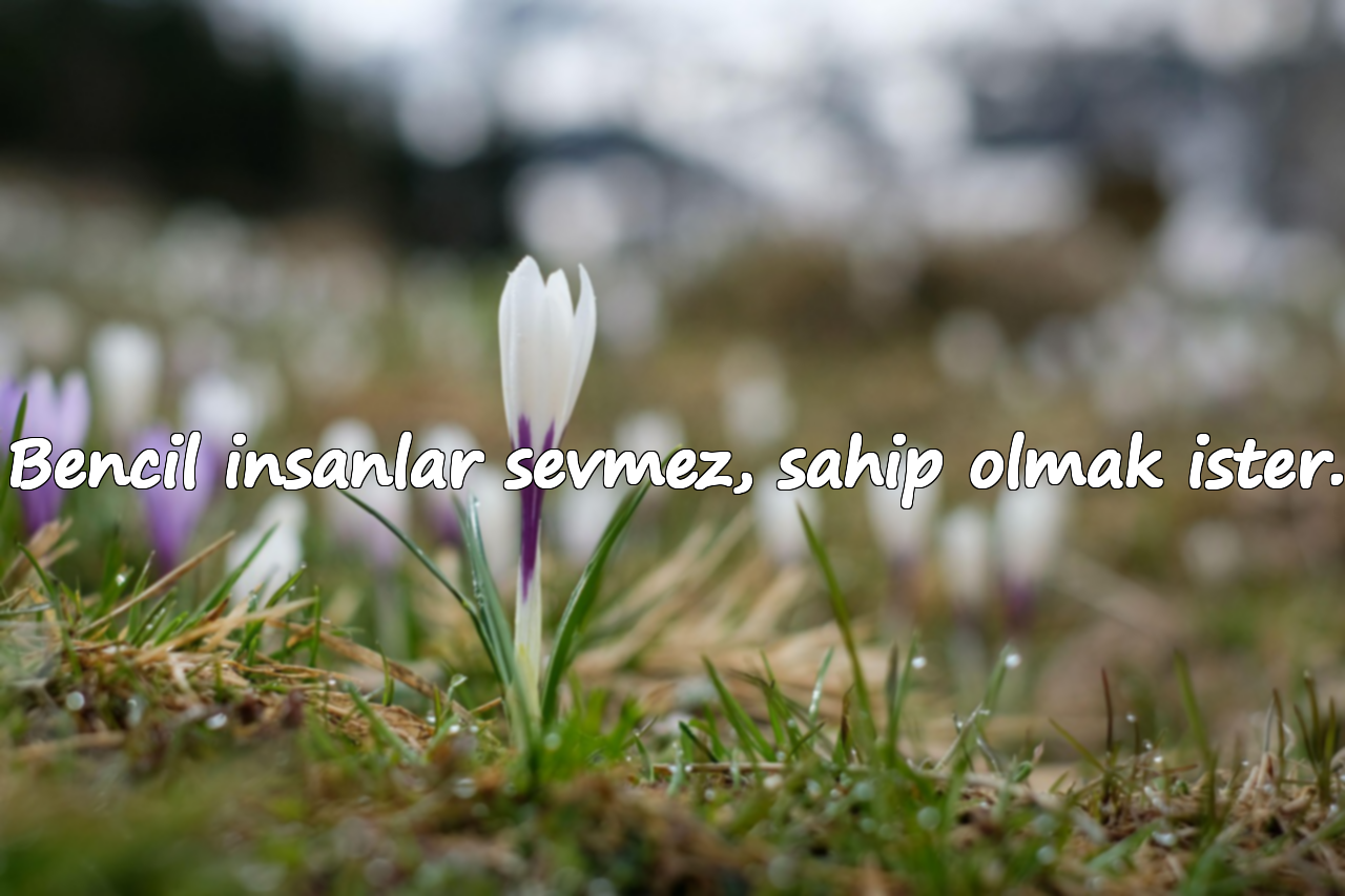 Bencil insanlar sevmez, sahip olmak ister.