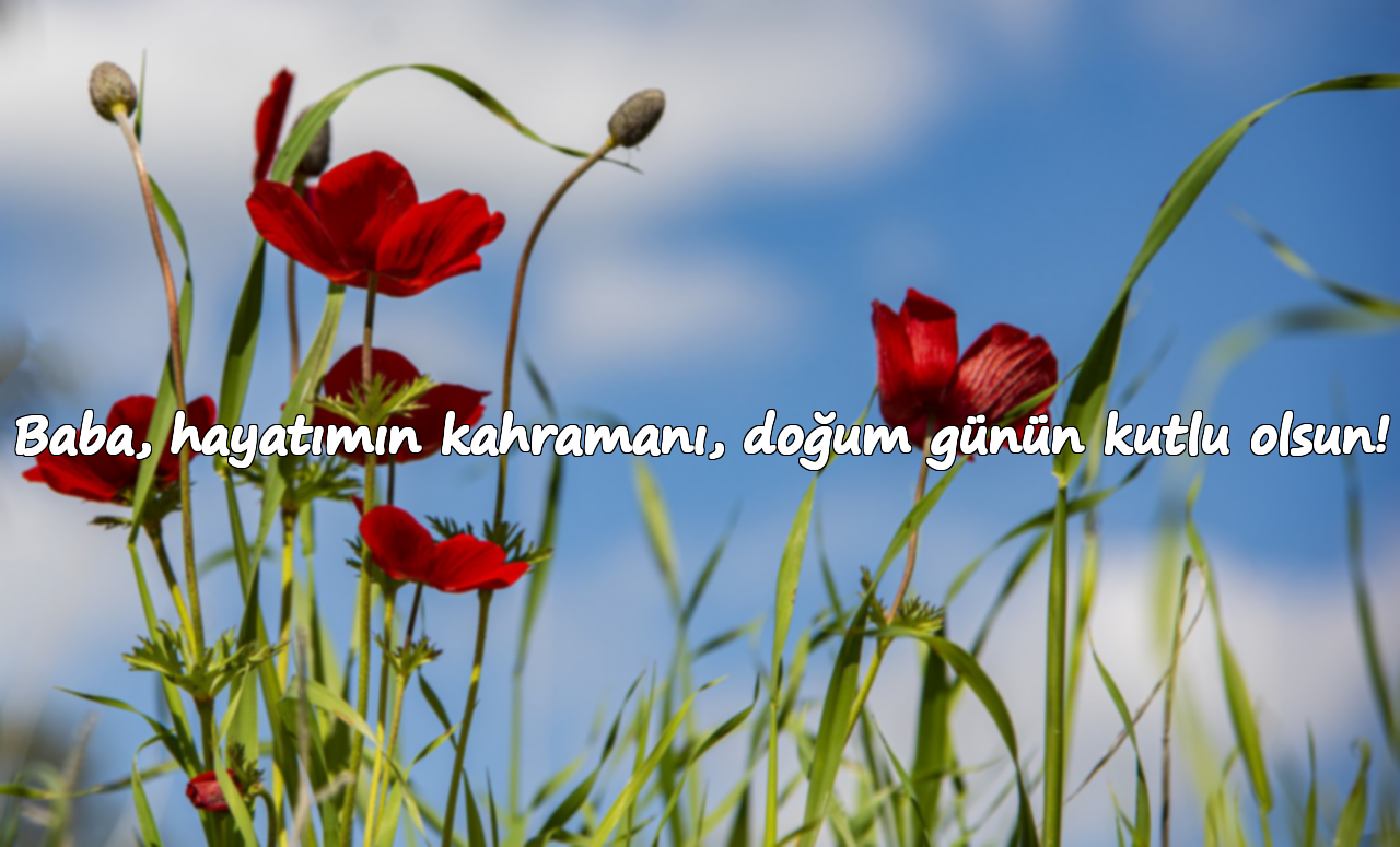 Baba, hayatımın kahramanı, doğum günün kutlu olsun!