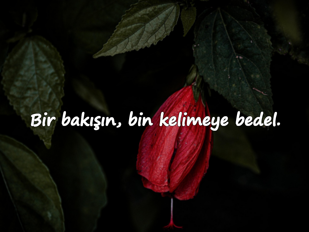 Bir bakışın, bin kelimeye bedel.
