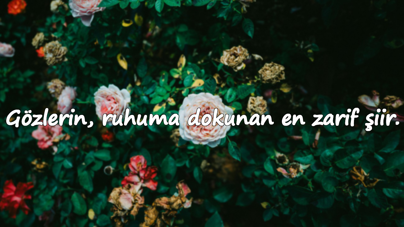 Gözlerin, ruhuma dokunan en zarif şiir.