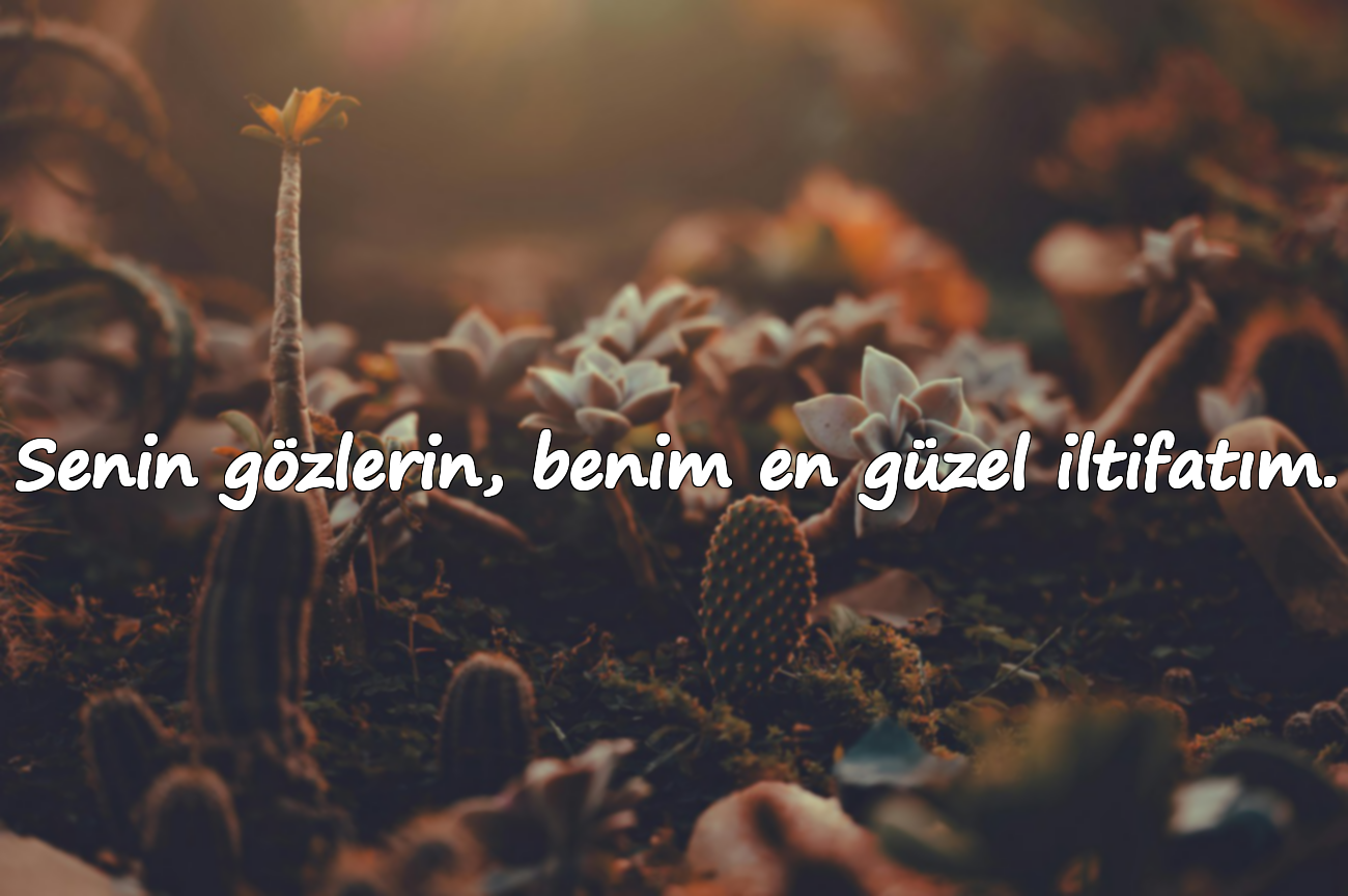 Senin gözlerin, benim en güzel iltifatım.