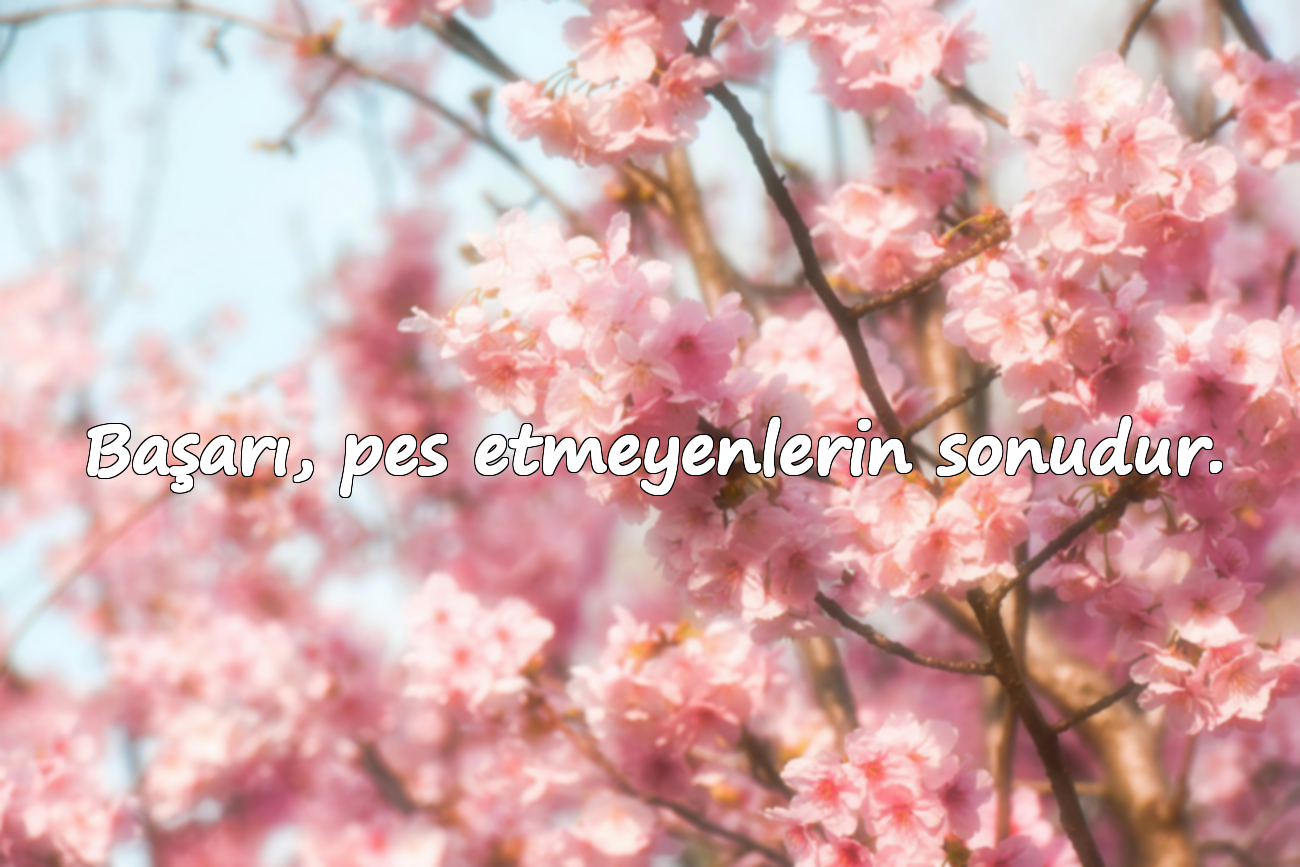 Başarı, pes etmeyenlerin sonudur.