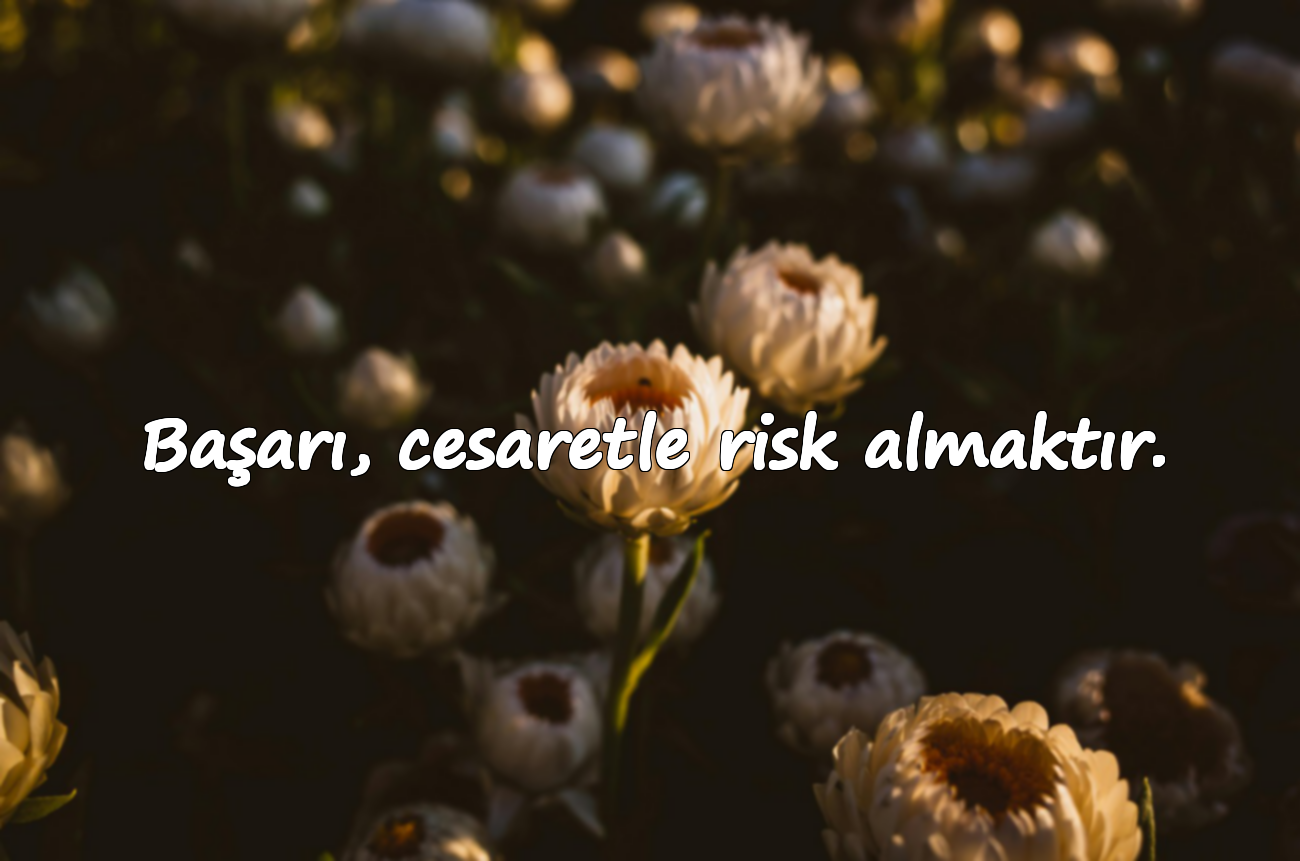 Başarı, cesaretle risk almaktır.