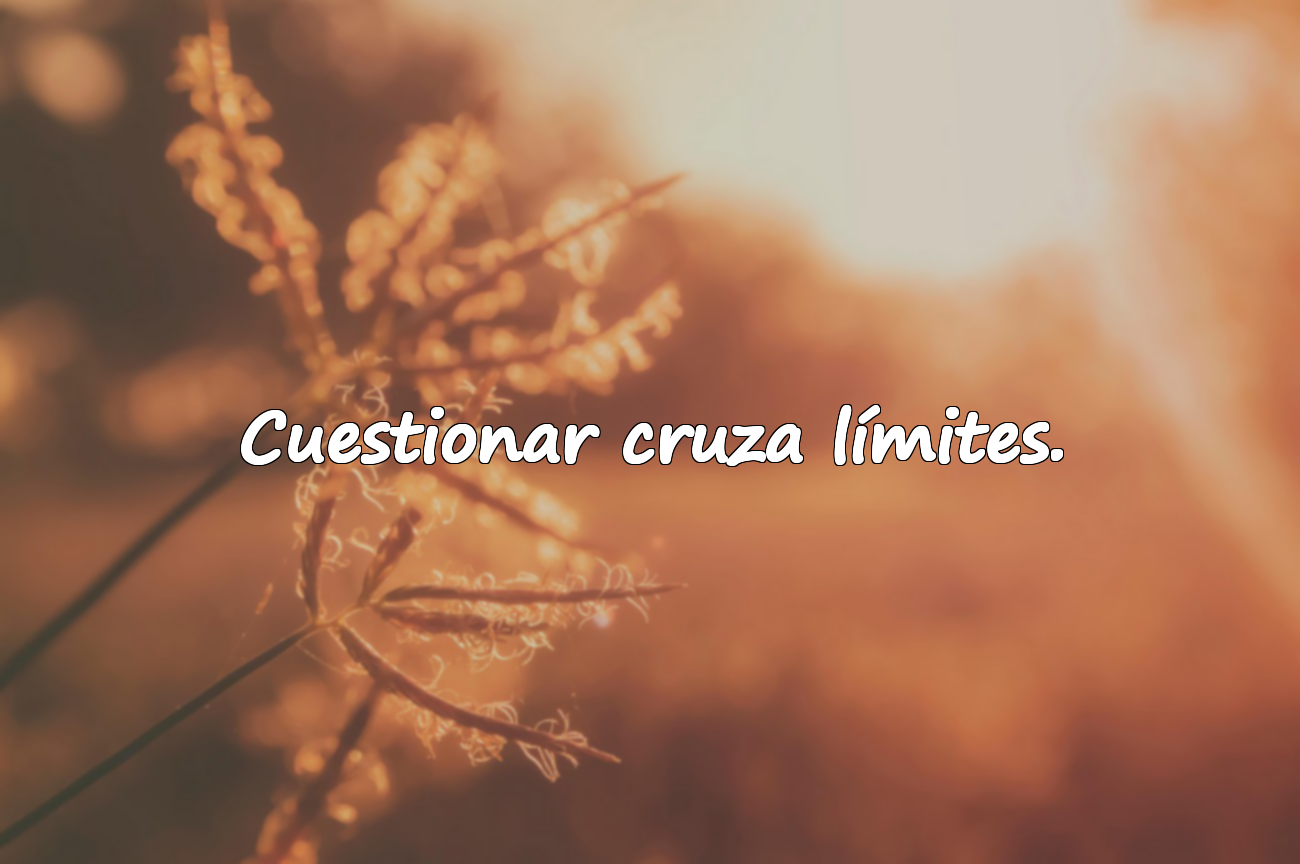 Cuestionar cruza límites.