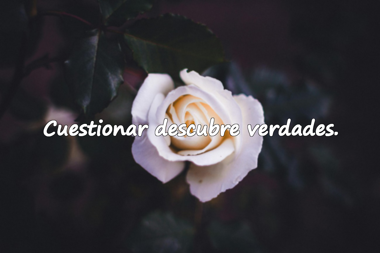 Cuestionar descubre verdades.