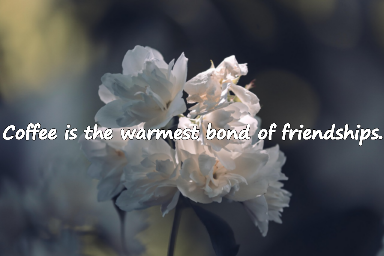 Beautiful Quotes About Coffee