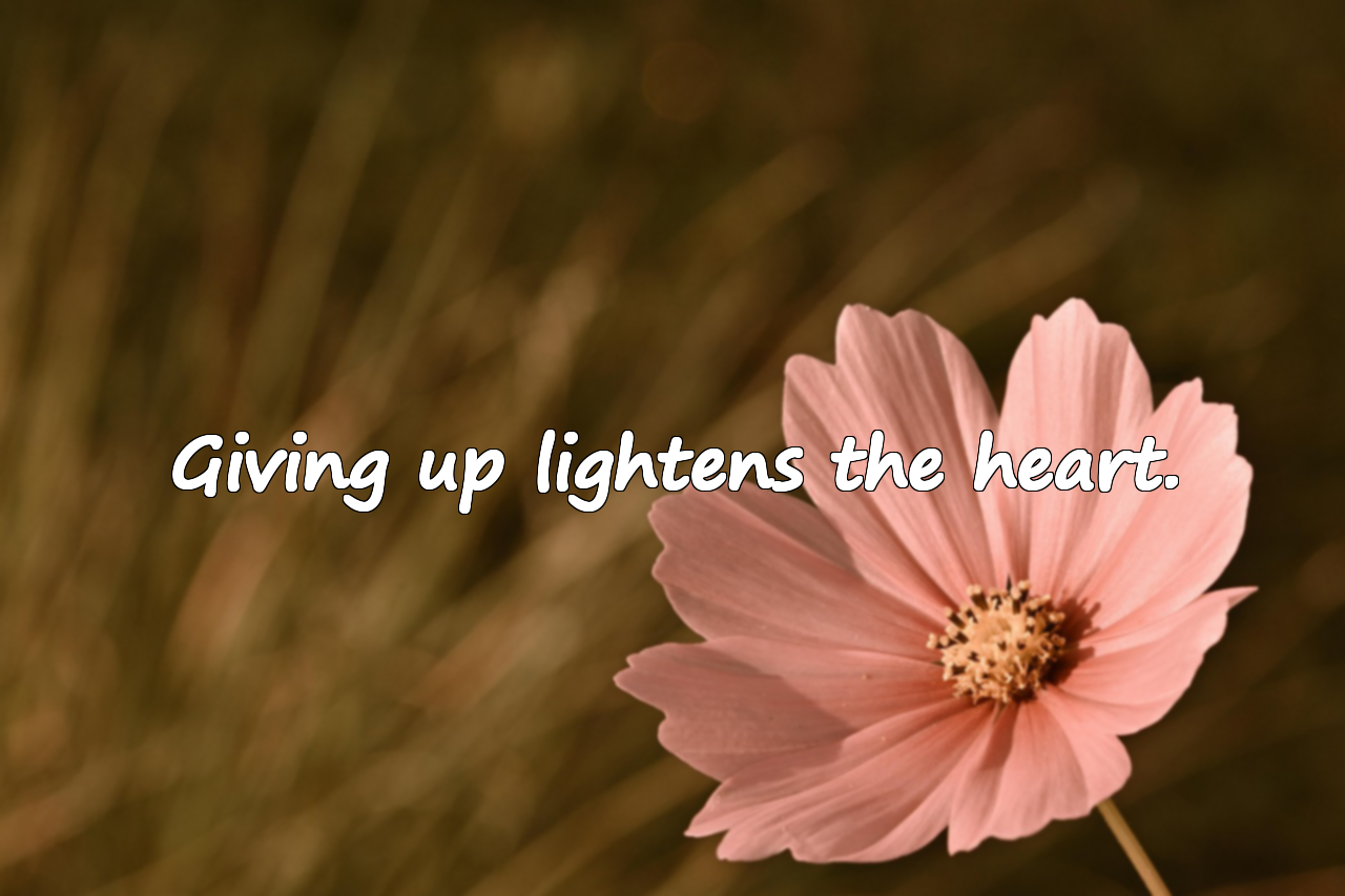 Beautiful Quotes About Giving Up