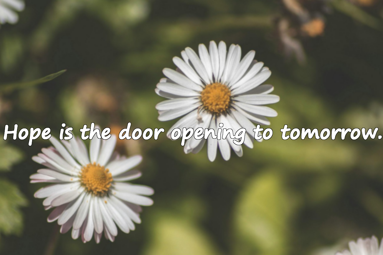 Beautiful Quotes About Hope