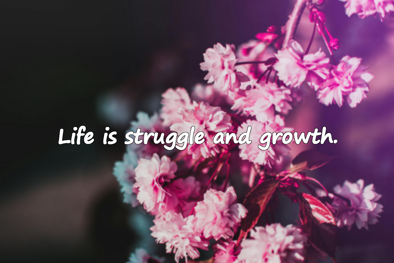 Beautiful Quotes About Life