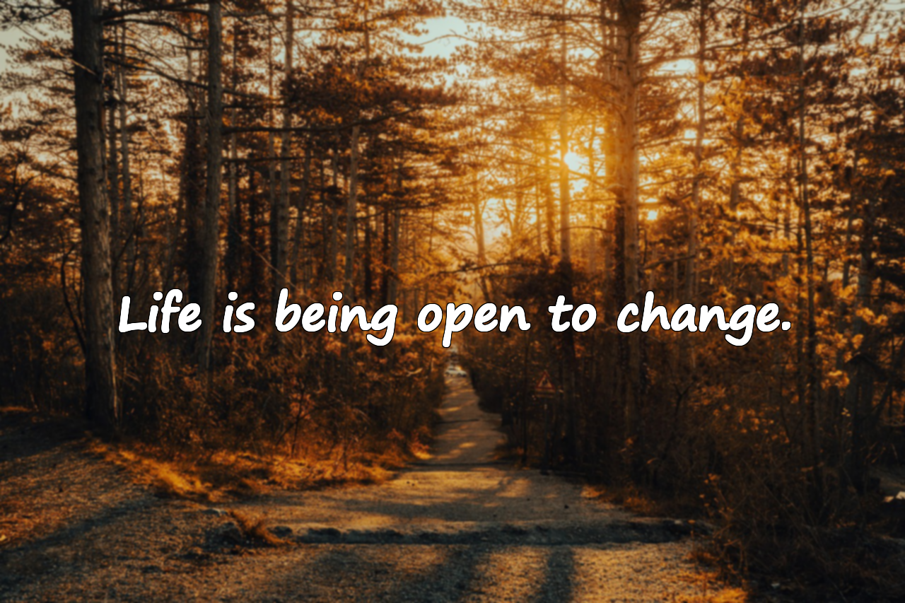 Beautiful Quotes About Life