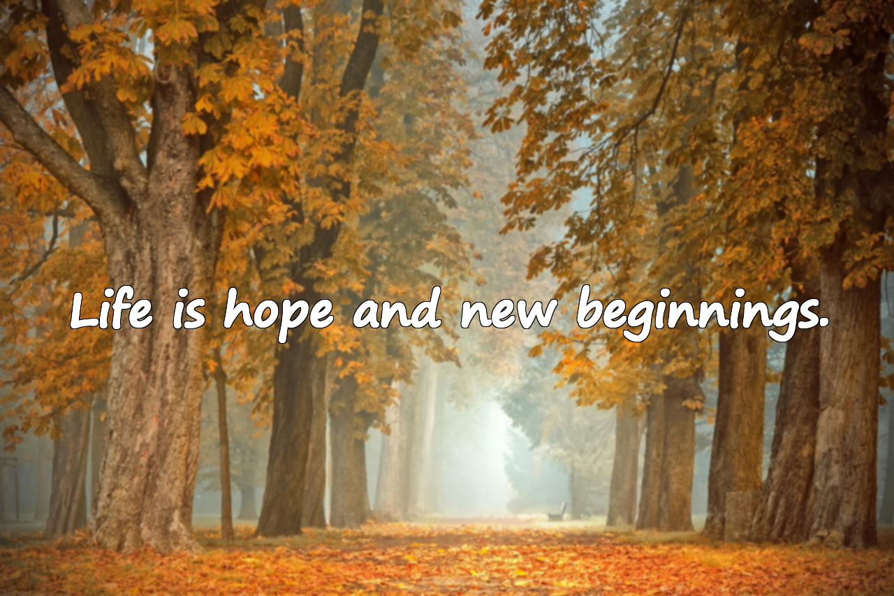 Beautiful Quotes About Life