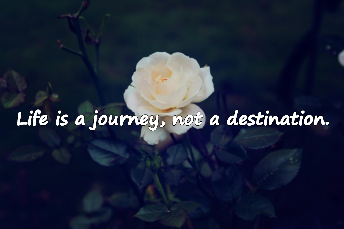 Beautiful Quotes About Life