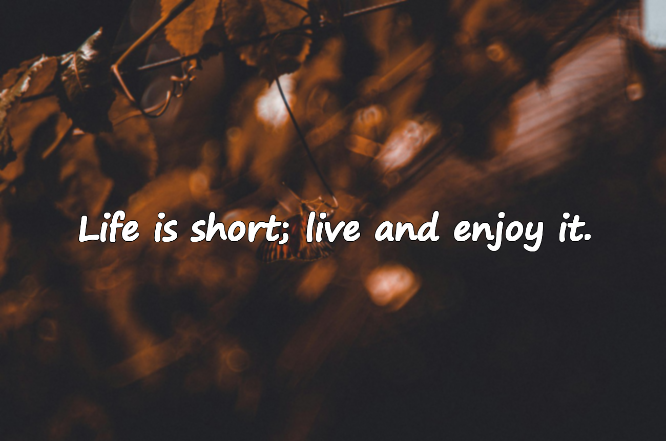 Beautiful Quotes About Living