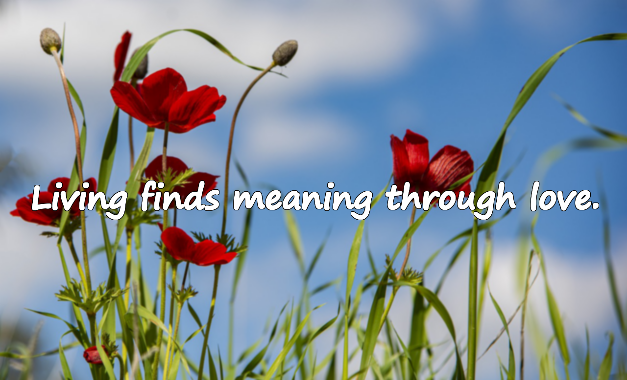 Beautiful Quotes About Living