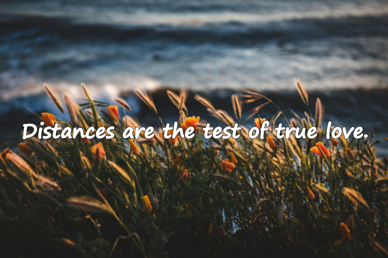 Beautiful Quotes About Loving From Afar